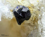 Mineralien Eifel Bellerberg Braunit