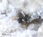 Mineralien Eifel Bellerberg Braunit