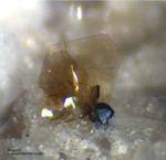 Mineralien Eifel Bellerberg Braunit