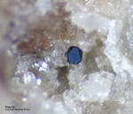Mineralien Eifel Bellerberg Braunit
