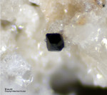 Mineralien Eifel Bellerberg Braunit