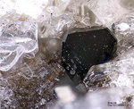 Mineralien Eifel Bellerberg Braunit