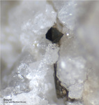 Mineralien Eifel Bellerberg Braunit