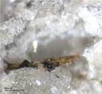 Mineralien Eifel Bellerberg Braunit
