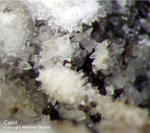 Eifel Mineralien Bellerberg Calcit