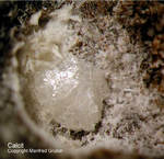 Eifel Mineralien Bellerberg Calcit