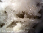Eifel Mineralien Bellerberg Calcit