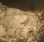 Eifel Mineralien Bellerberg Calcit
