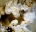 Eifel Mineralien Bellerberg Calcit