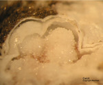 Eifel Mineralien Bellerberg Calcit