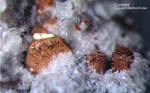 Eifel Mineralien Bellerberg Cordierit