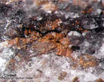 Eifel Mineralien Bellerberg Cordierit