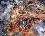 Eifel Mineralien Bellerberg Cordierit