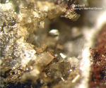 Eifel Mineralien Bellerberg Cordierit