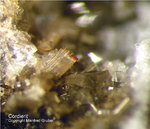 Eifel Mineralien Bellerberg Cordierit
