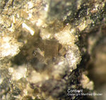 Eifel Mineralien Bellerberg Cordierit