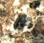 Eifel Mineralien Bellerberg Cordierit