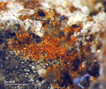 Eifel Mineralien Bellerberg Cordierit