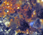 Eifel Mineralien Bellerberg Cordierit
