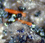Eifel Mineralien Bellerberg Cordierit