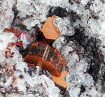 Eifel Mineralien Bellerberg Cordierit