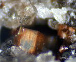 Eifel Mineralien Bellerberg Cordierit