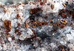 Eifel Mineralien Bellerberg Cordierit