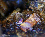 Eifel Mineralien Bellerberg Fayalit