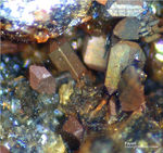 Eifel Mineralien Bellerberg Fayalit
