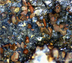 Eifel Mineralien Bellerberg Fayalit
