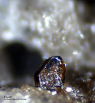 Eifel Mineralien Bellerberg Fayalit