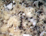 Eifel Mineralien Bellerberg Fluorit