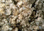 Eifel Mineralien Bellerberg Fluorit