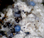 Eifel Mineralien Bellerberg Fluorit