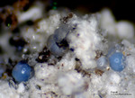 Eifel Mineralien Bellerberg Fluorit