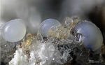 Eifel Mineralien Bellerberg Fluorit