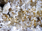 Eifel Mineralien Bellerberg Fluorit