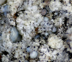 Eifel Mineralien Bellerberg Fluorit