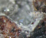 Eifel Mineralien Bellerberg Haematit
