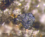 Eifel Mineralien Bellerberg Haematit