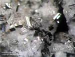 Eifel Mineralien Bellerberg Hoch-Quarz