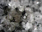 Eifel Mineralien Bellerberg Hoch-Quarz