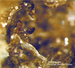Eifel Mineralien Bellerberg Hoch-Quarz