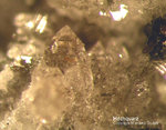 Eifel Mineralien Bellerberg Hoch-Quarz
