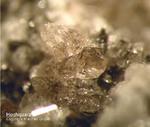 Eifel Mineralien Bellerberg Hoch-Quarz