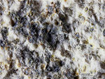 Eifel Mineralien Bellerberg Jasmundit