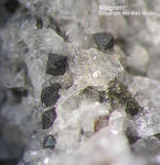 Eifel Mineralien Bellerberg Magnetit
