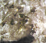 Eifel Mineralien Bellerberg Magnetit