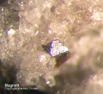 Eifel Mineralien Bellerberg Magnetit