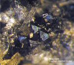 Eifel Mineralien Bellerberg Magnetit